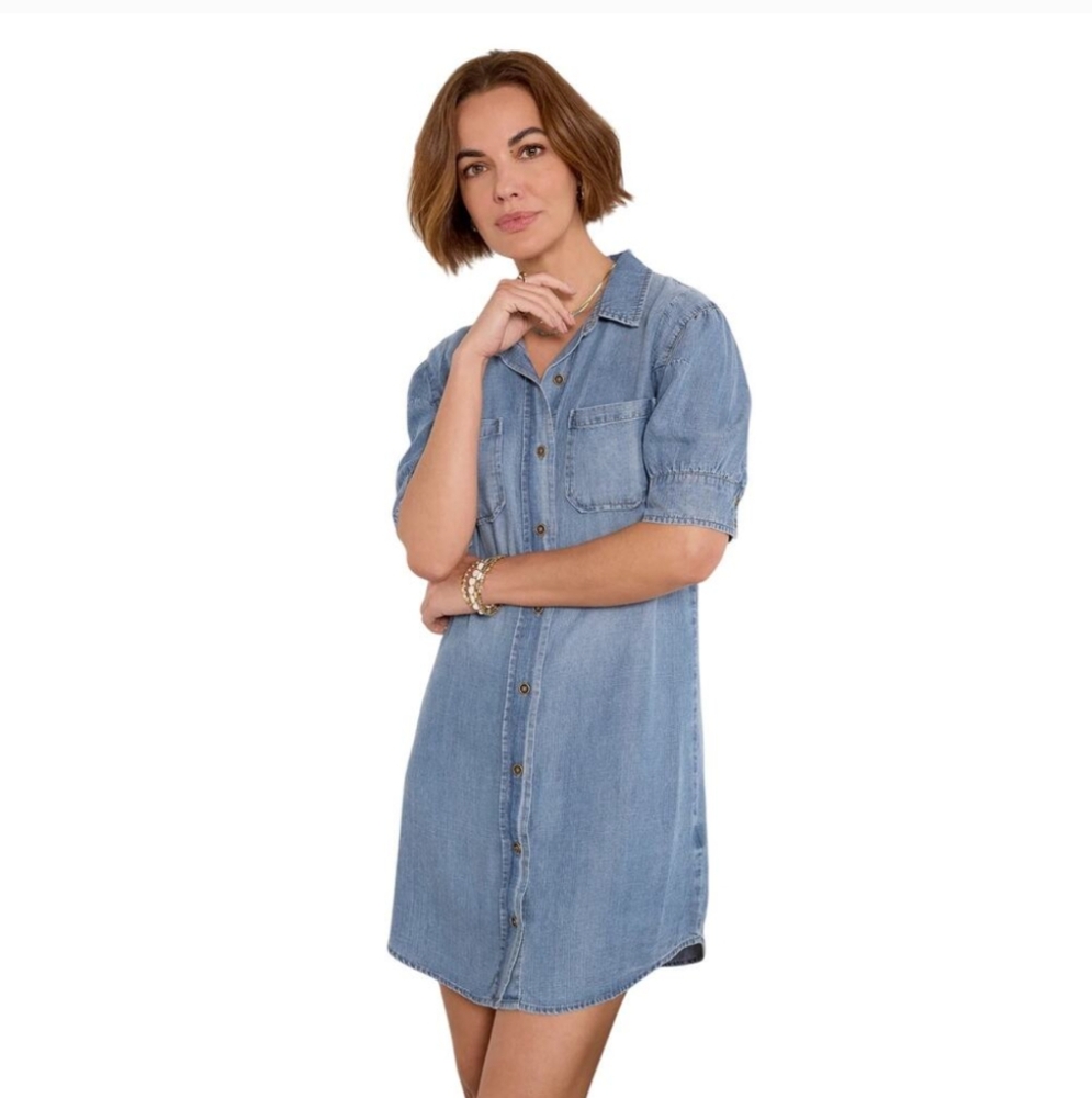 Kut From The Kloth Denim Dress